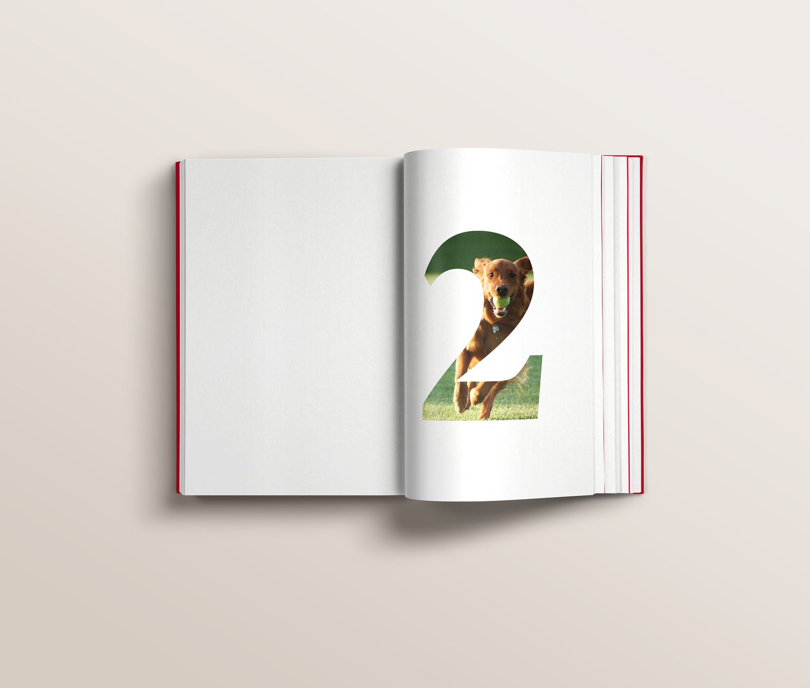 Design is Storytelling — interior spread